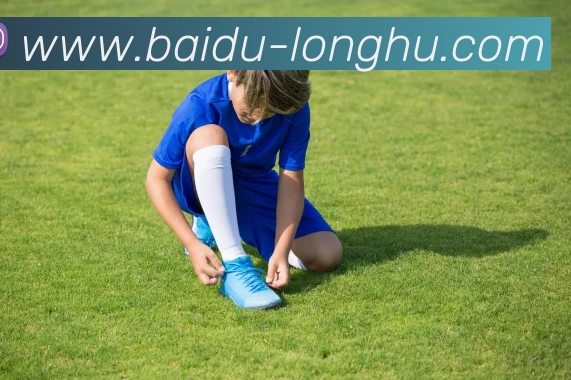 龙虎棋牌平台生态图